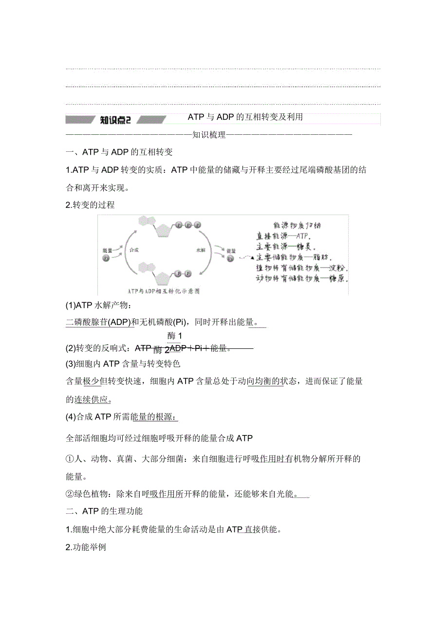 第2节细胞的能量“货币”ATP.doc_第3页