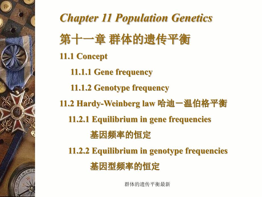 群体的遗传平衡最新课件_第1页