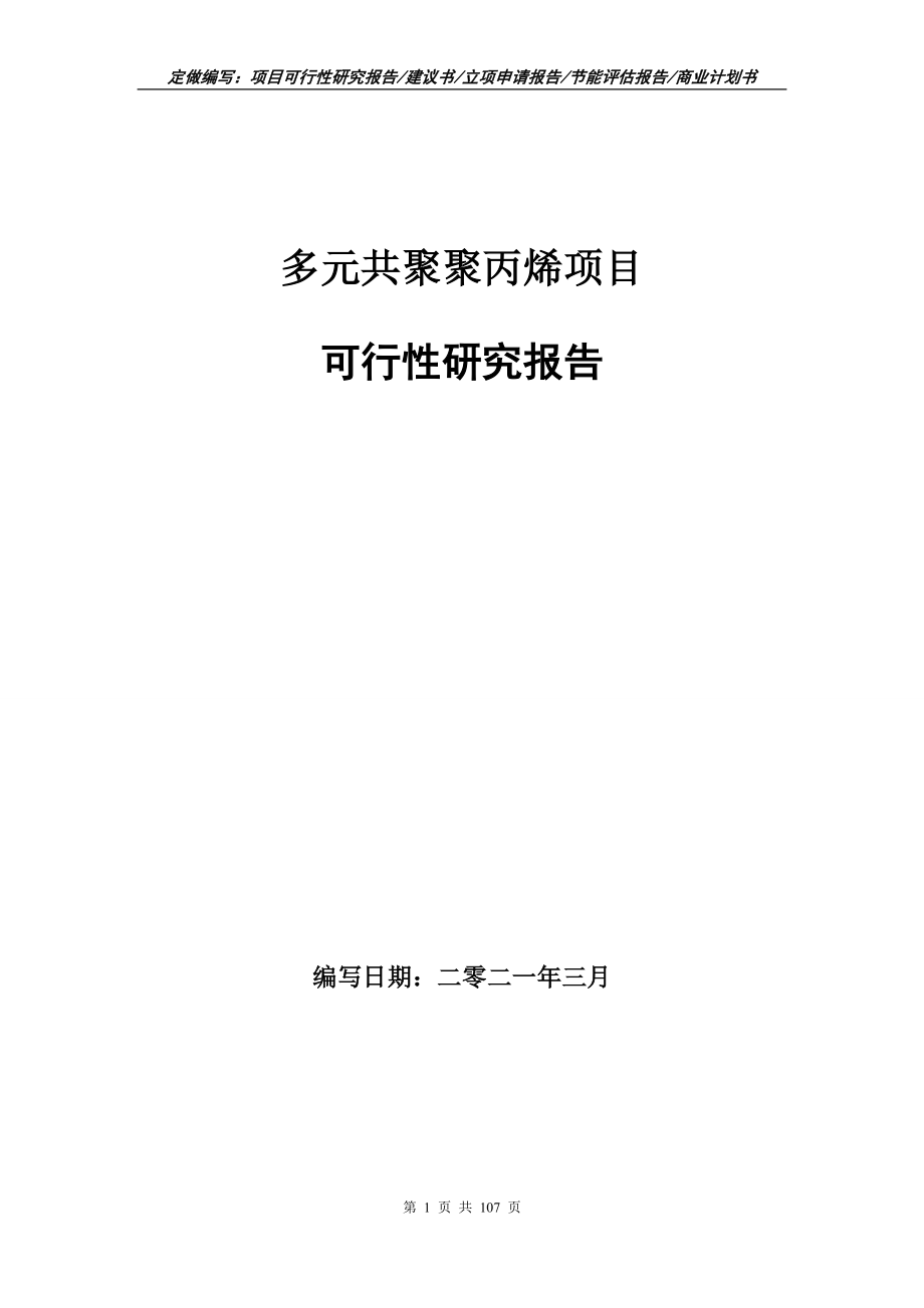 多元共聚聚丙烯项目可行性研究报告写作范本_第1页