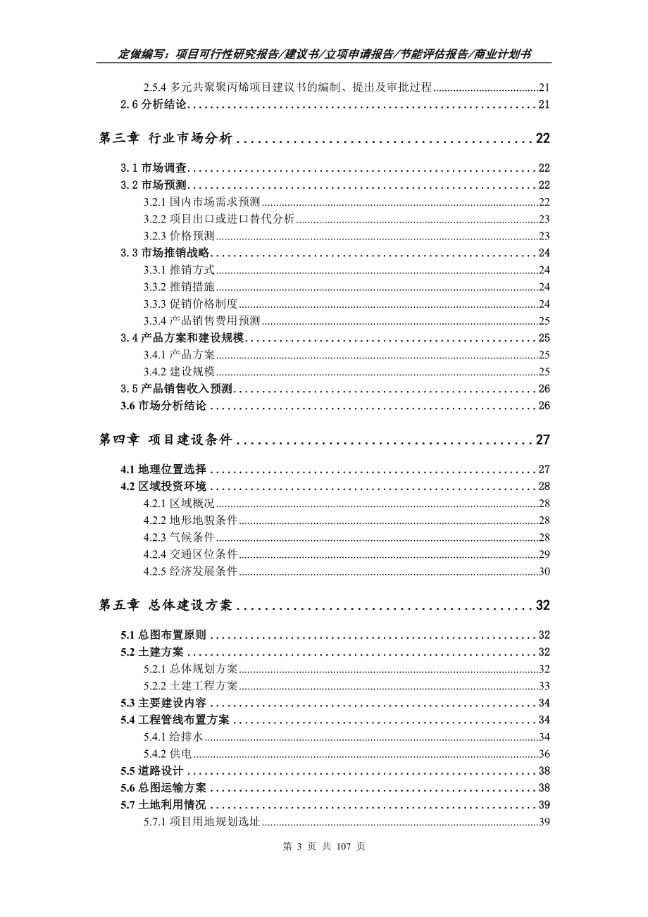多元共聚聚丙烯项目可行性研究报告写作范本_第3页