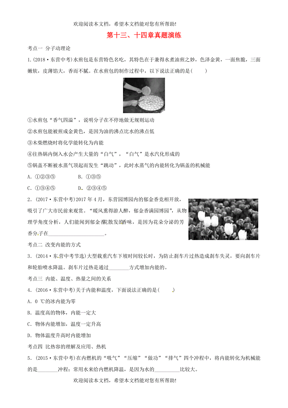 东营专版2019年中考物理总复习第十三十四章内能内能的利真题演练_第1页