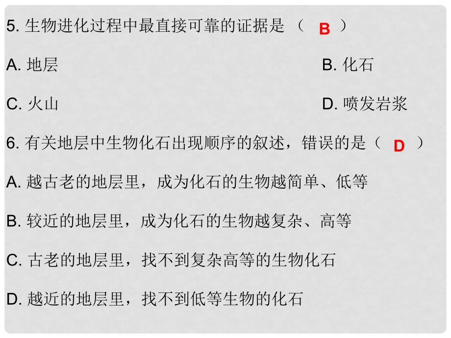 中考生物总复习 专题十四 生物的起源与进化课件_第4页