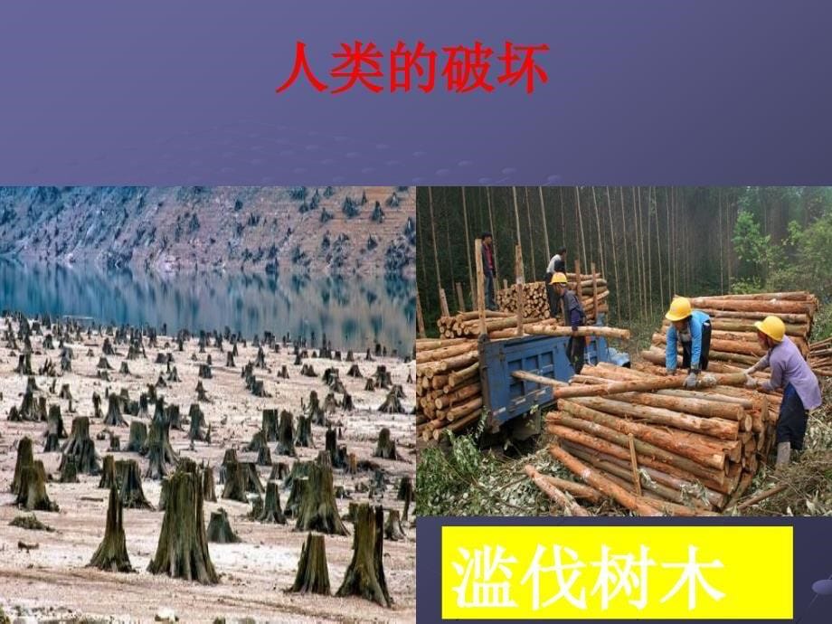 人对环境的影响ppt课件.ppt_第5页