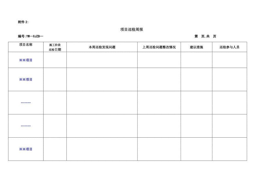 工程巡检制度_第5页