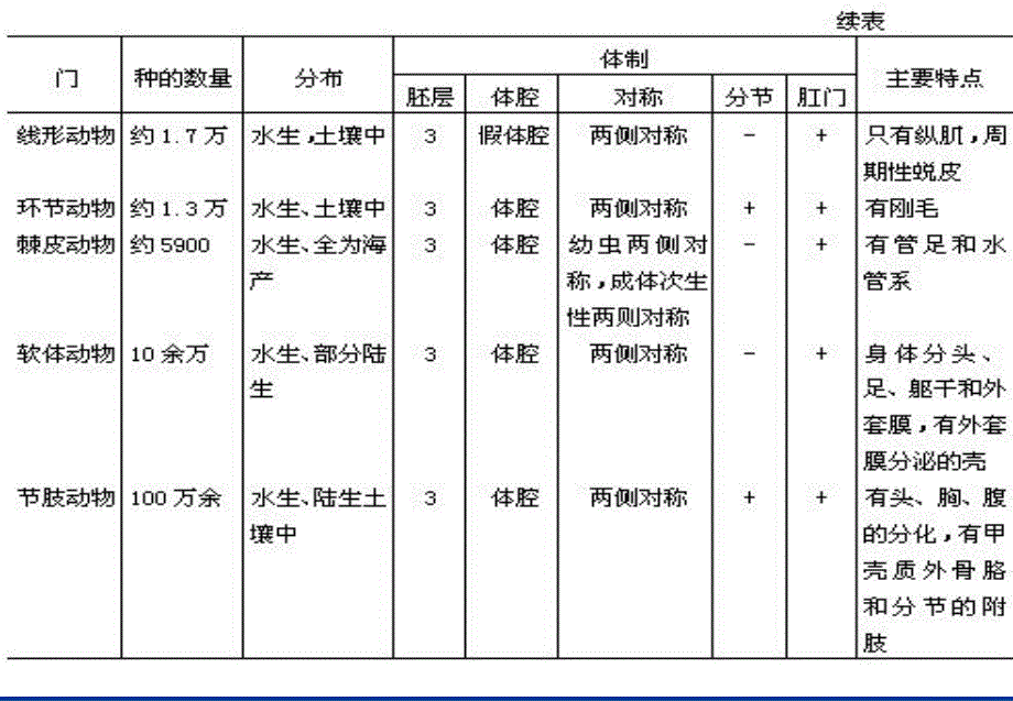 动物解剖和分类2精选文档_第2页