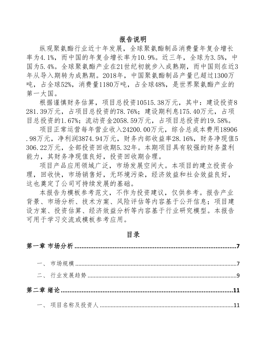 青岛高弹塑料粒子项目可行性研究报告(DOC 70页)_第1页