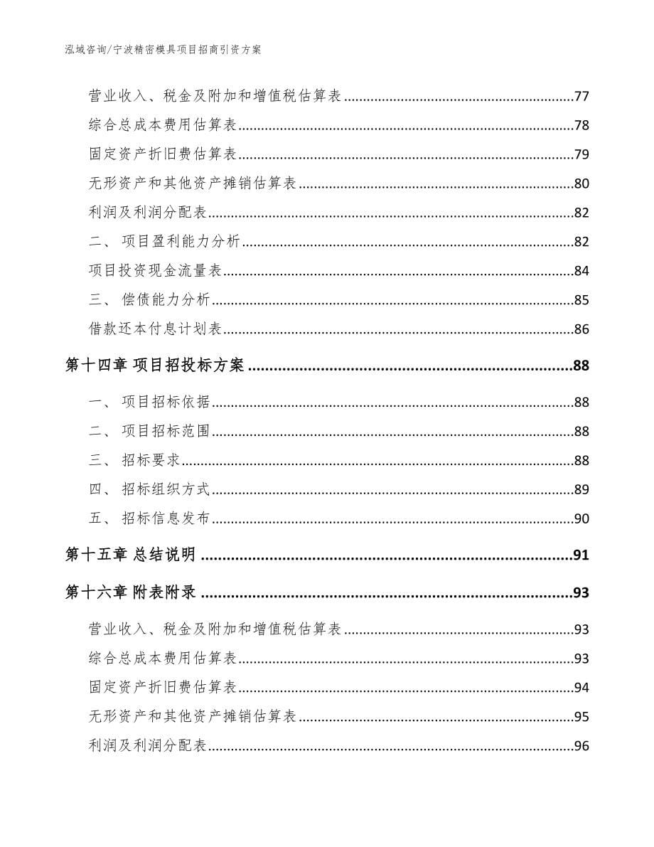 宁波精密模具项目招商引资方案（模板范文）_第5页