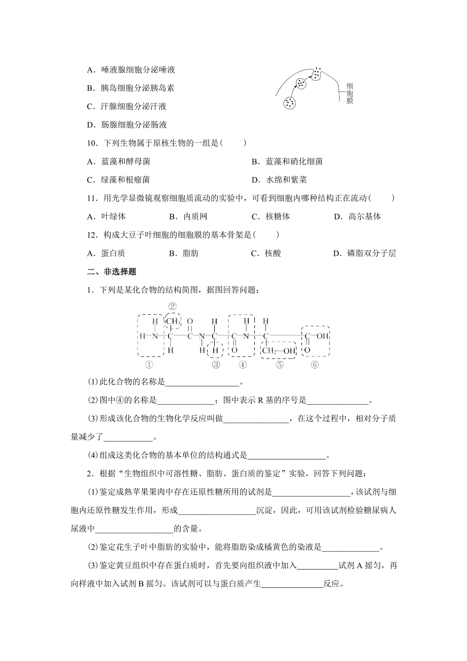新课标人教版高中生物必修一分子与细胞教科书配套试题：期中测试题(word版含答案解析）_第2页