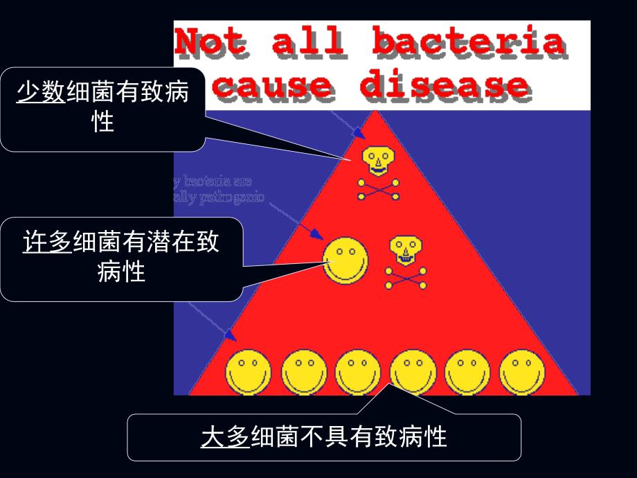 细菌致病性PPT课件_第3页