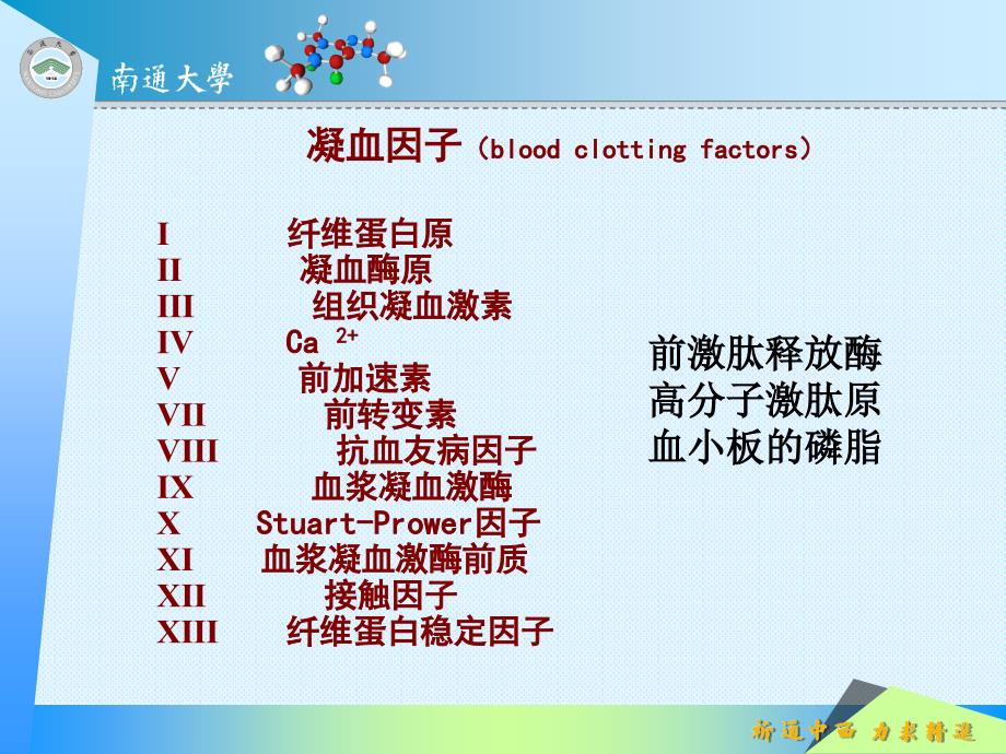 第29章作用于血液及造血器官的药物_第4页