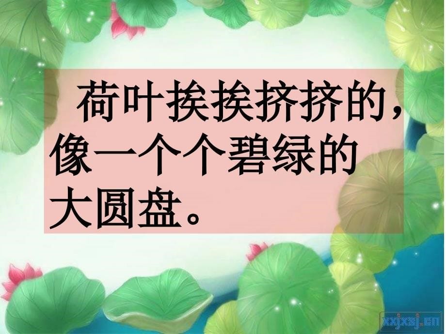 小学三年级语文《荷花》.ppt_第5页