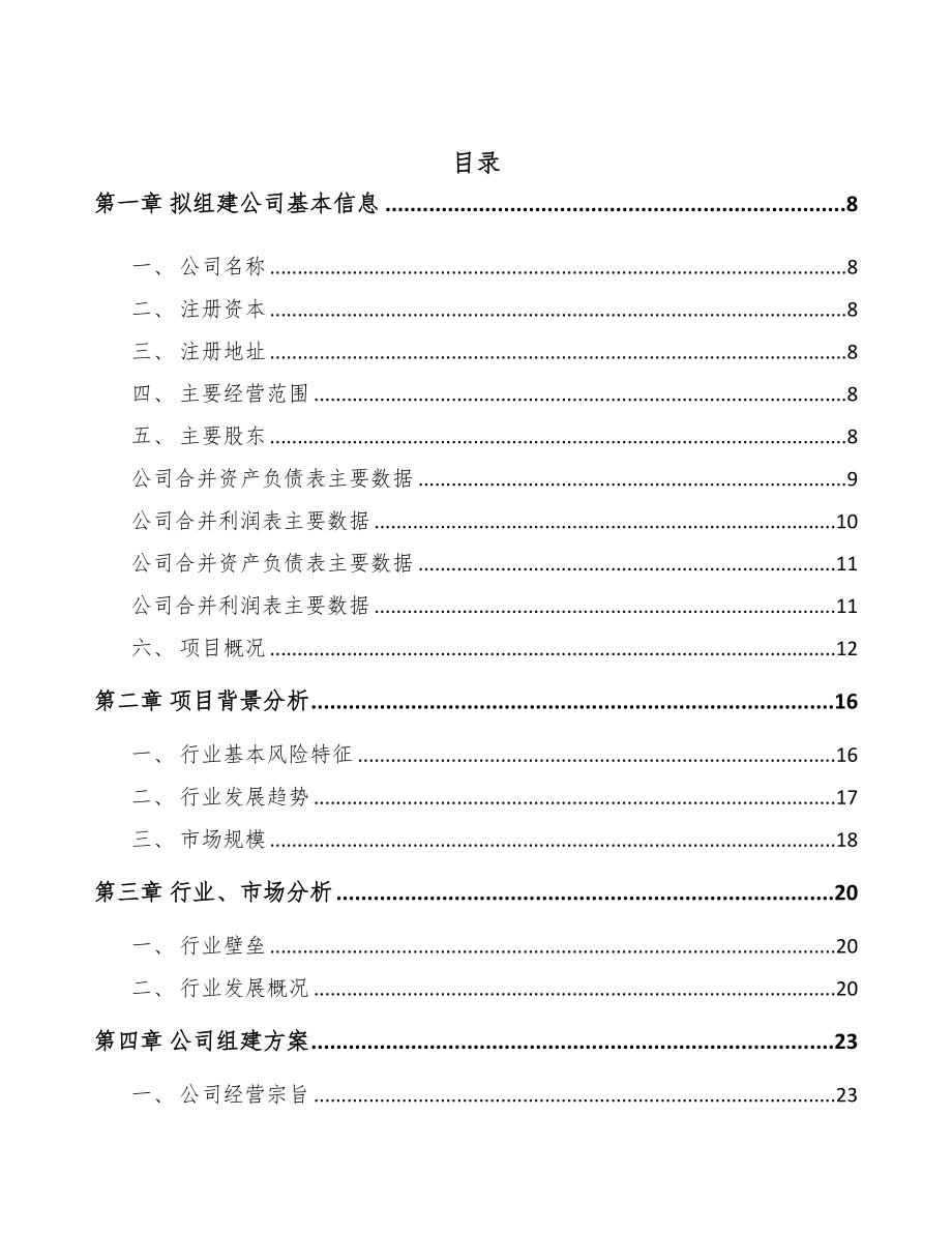 淮南关于成立PP片材公司可行性研究报告(DOC 81页)_第2页