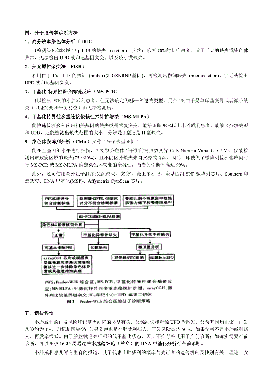 小胖威利(普拉德-威利)综合征_第3页