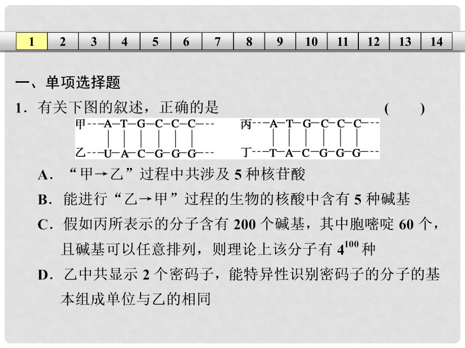 高三生物一轮复习 重难聚焦练（六）课件 新人教版必修2_第2页