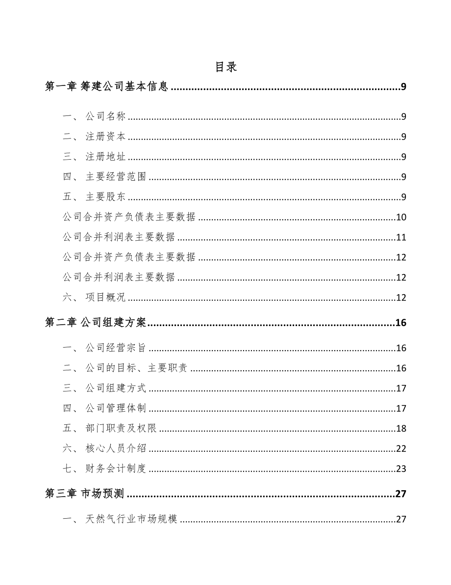 合肥关于成立流量仪表公司可行性研究报告(DOC 81页)_第3页