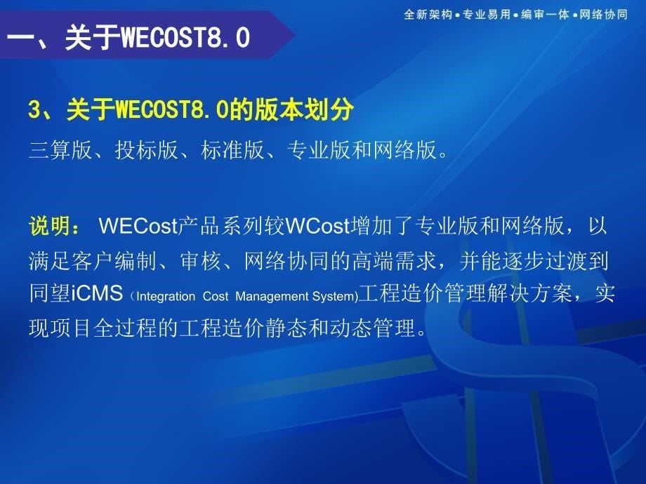 同望WECOST培训教材_第5页