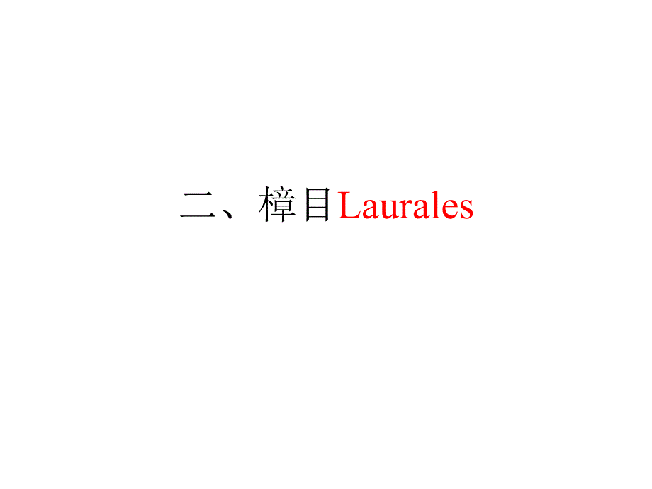 植物学教学课件：樟目Laurales_第1页