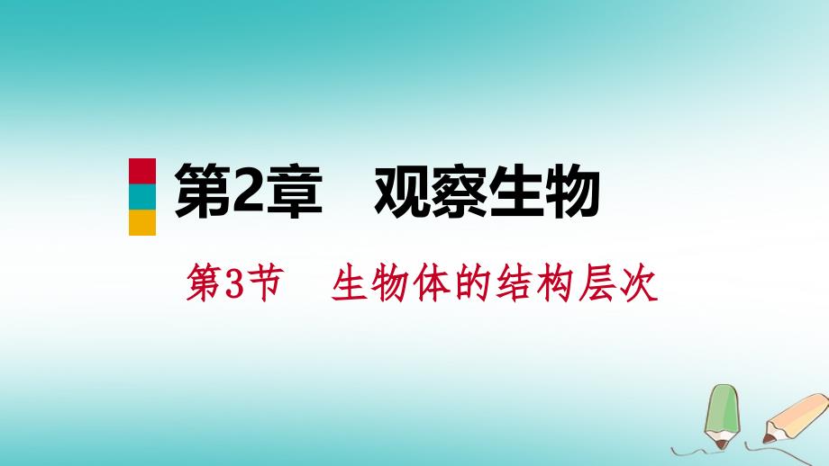 七年级科学上册 第2章 观察生物 第3节 生物体的结构层次 2.3.1 细胞的分裂、生长和分化 （新版）浙教版_第1页