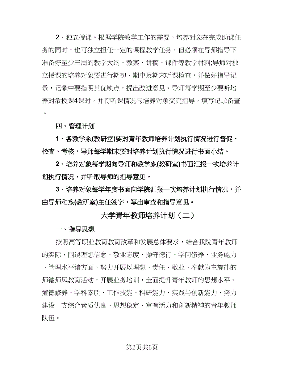 大学青年教师培养计划（2篇）.doc_第2页