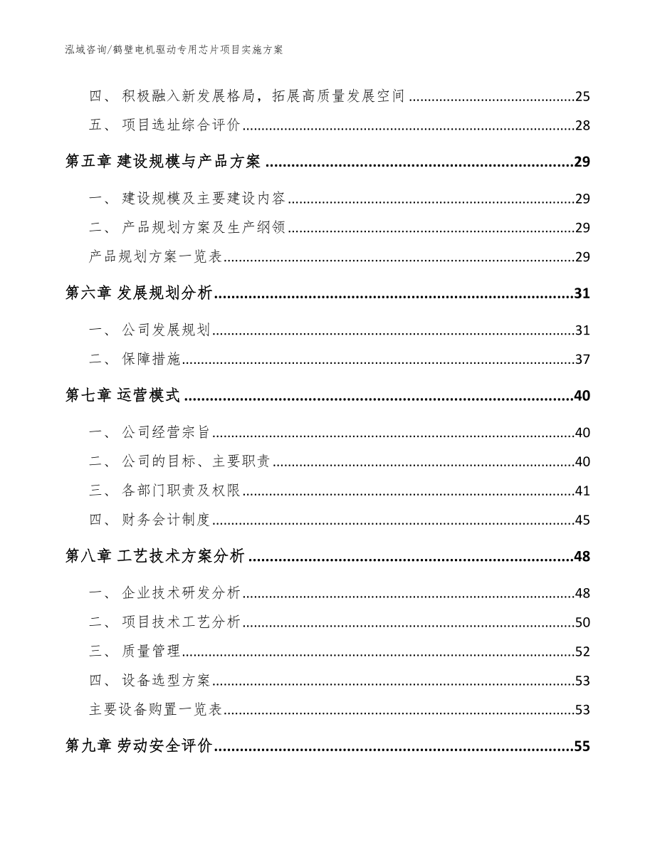 鹤壁电机驱动专用芯片项目实施方案_范文参考_第2页