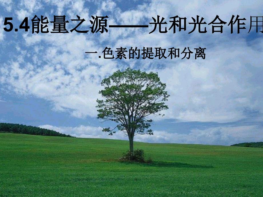 色素提取及分离实验.ppt_第1页