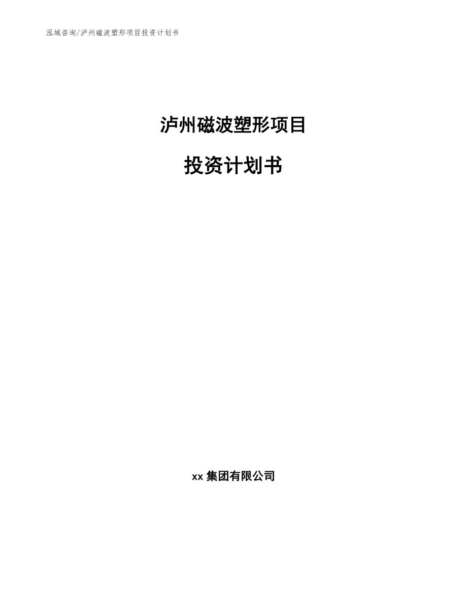 泸州磁波塑形项目投资计划书（参考范文）_第1页