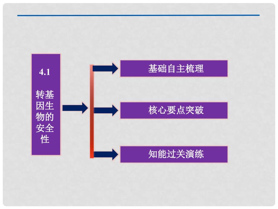 高中生物 4.1《转基因生物的安全性》课件 新人教版选修3_第4页