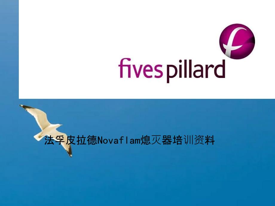 皮拉德燃烧器ppt课件_第1页