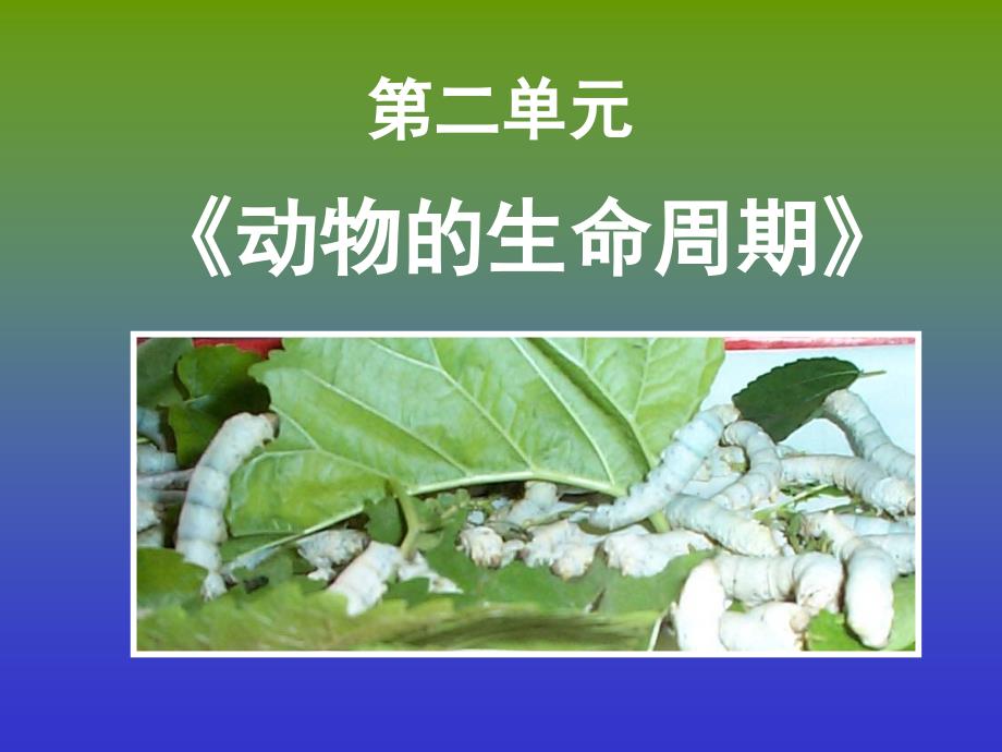 三下二单元动物的生命周期教材分析_第1页