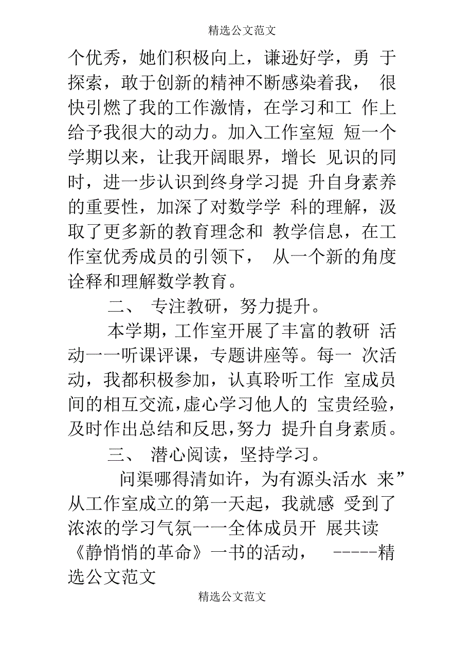 名师工作室个人工作总结_第2页