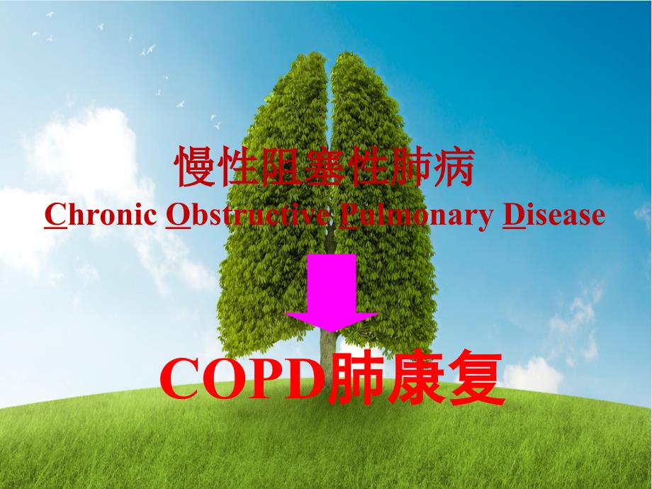 copd诊断治疗及肺康复管理范文课件_第1页