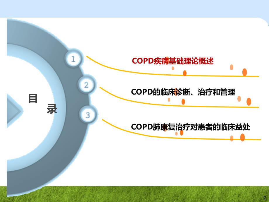 copd诊断治疗及肺康复管理范文课件_第2页