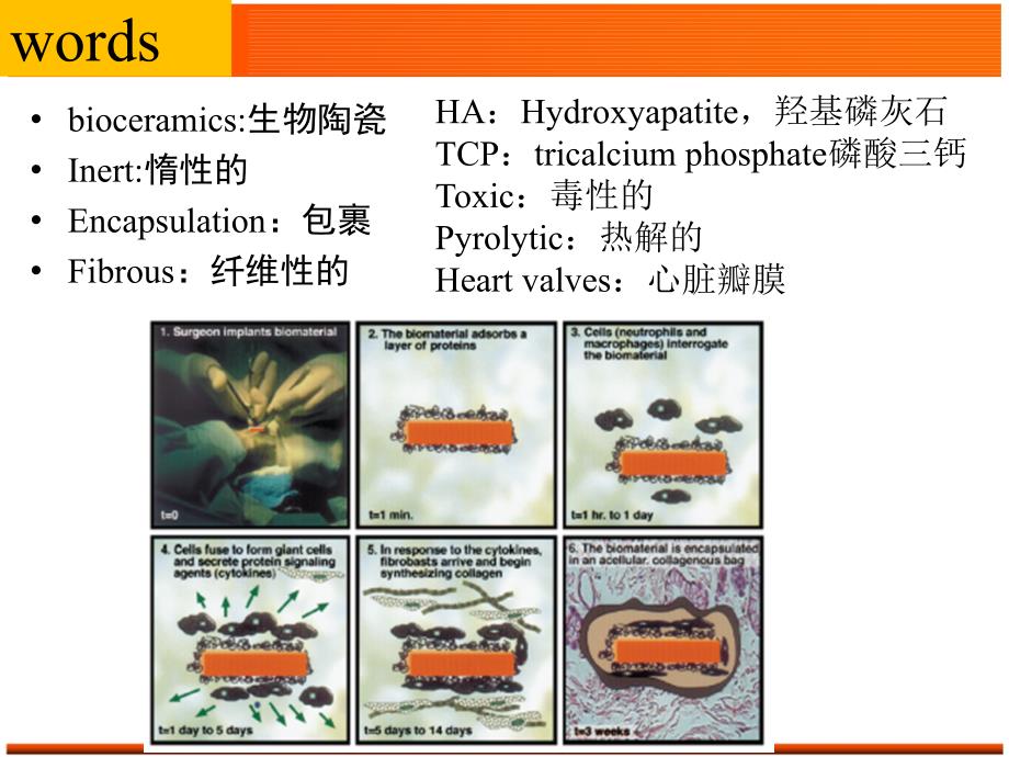 材料科学与工程专业英语09unit11.ppt_第2页