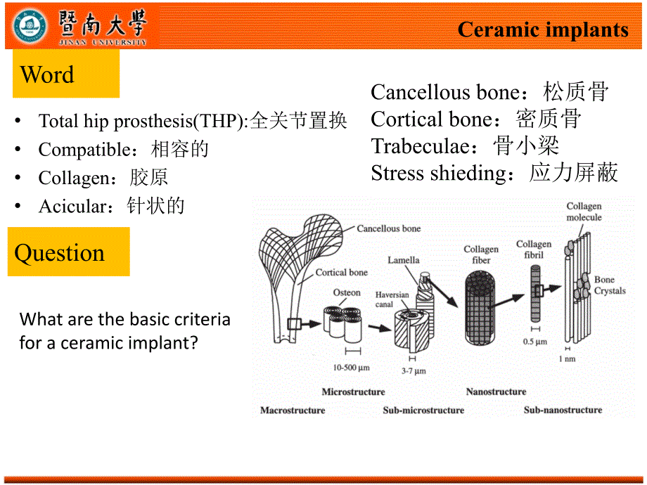 材料科学与工程专业英语09unit11.ppt_第4页