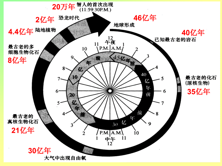 进化生物学：第4章 生物发展史_第2页