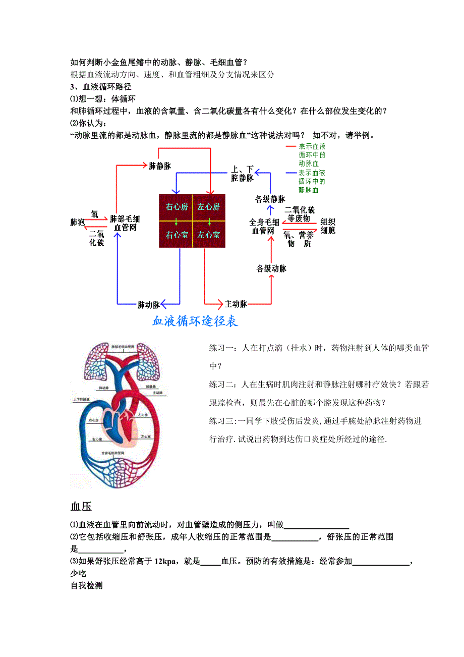 人教生物八下14章部分提纲_第3页