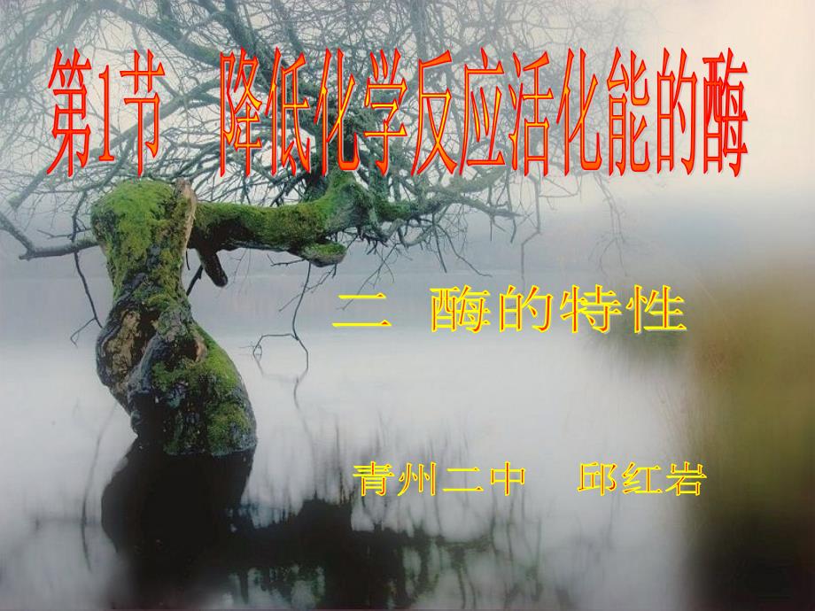 【生物】酶的特性（新人教版必修1）_第1页
