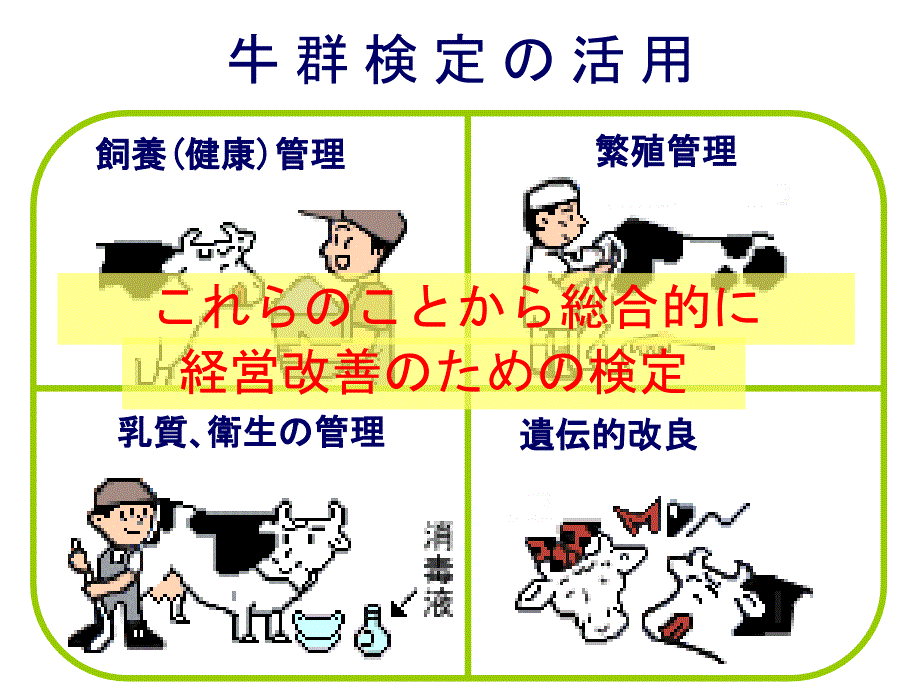 全国農業協同組合連合会長野県本部 指導者専門講習会資料 乳用牛群飼養_第3页