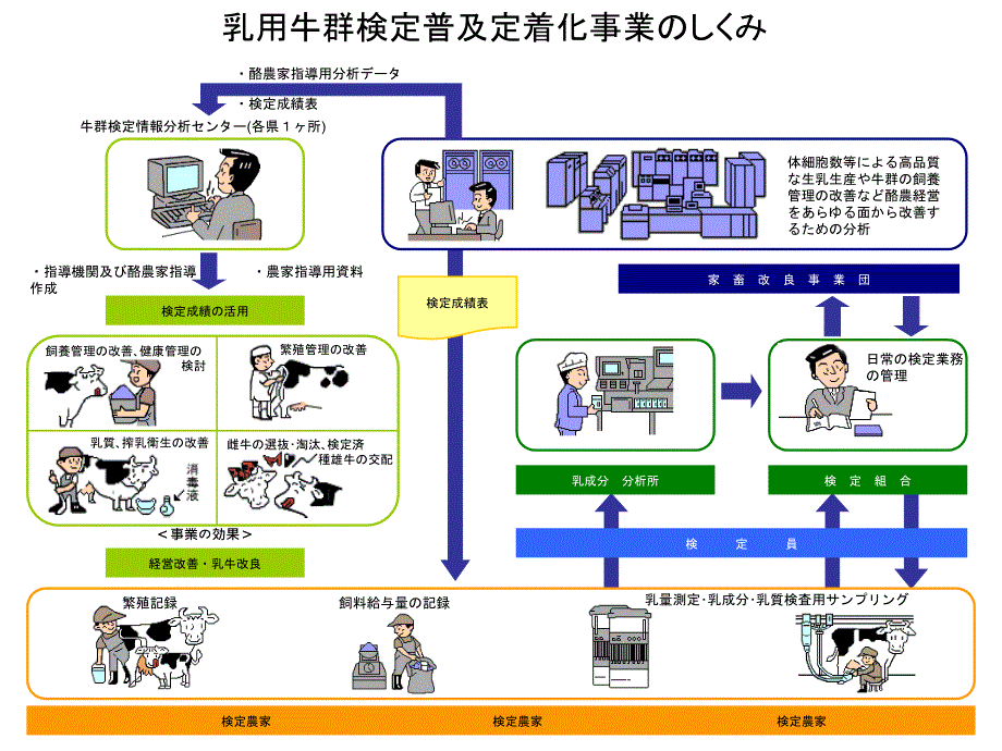 全国農業協同組合連合会長野県本部 指導者専門講習会資料 乳用牛群飼養_第4页