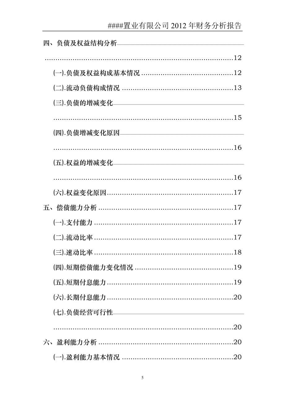 置业有限公司某某年财务分析报告_第5页