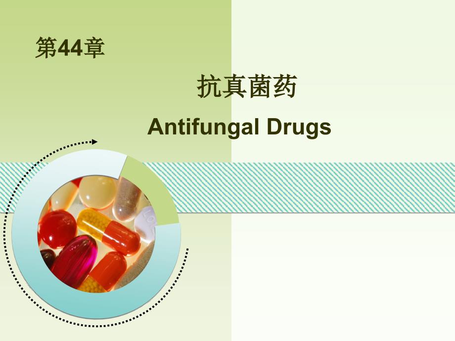 抗真菌药杨演示PPT_第1页