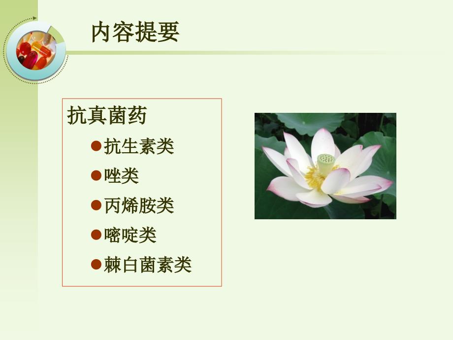 抗真菌药杨演示PPT_第2页