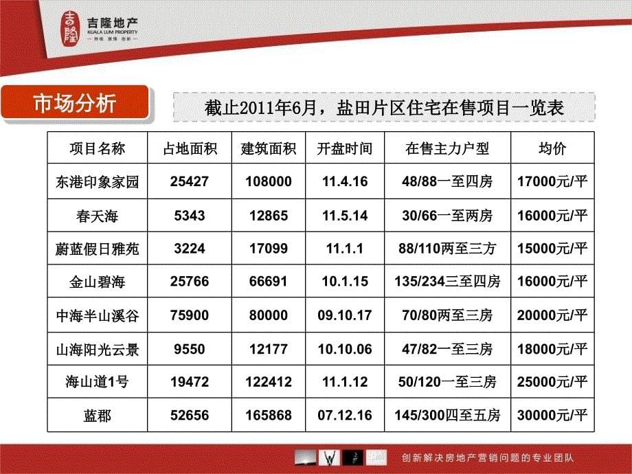 深圳盐田幸福海营销推广计划及住宅商业价格建议_第5页