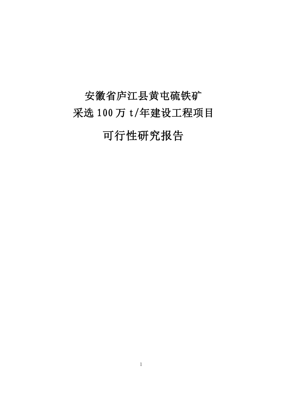 采选100万t年建设工程项目可行性研究报告.doc_第1页