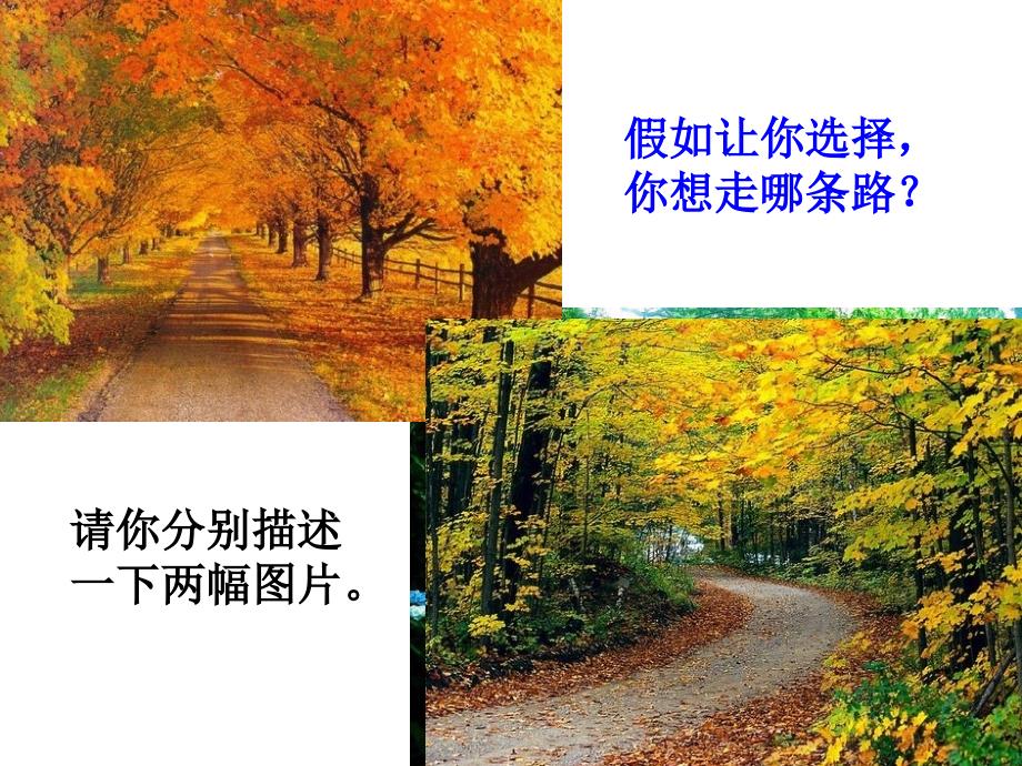 未选择的路ppt_第2页