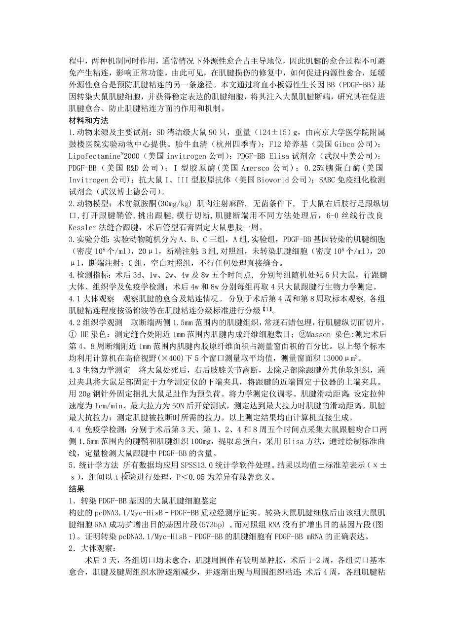 血小板源性生长因子BB表达对促进大鼠肌腱愈合和防止肌腱粘连的作用.doc_第2页