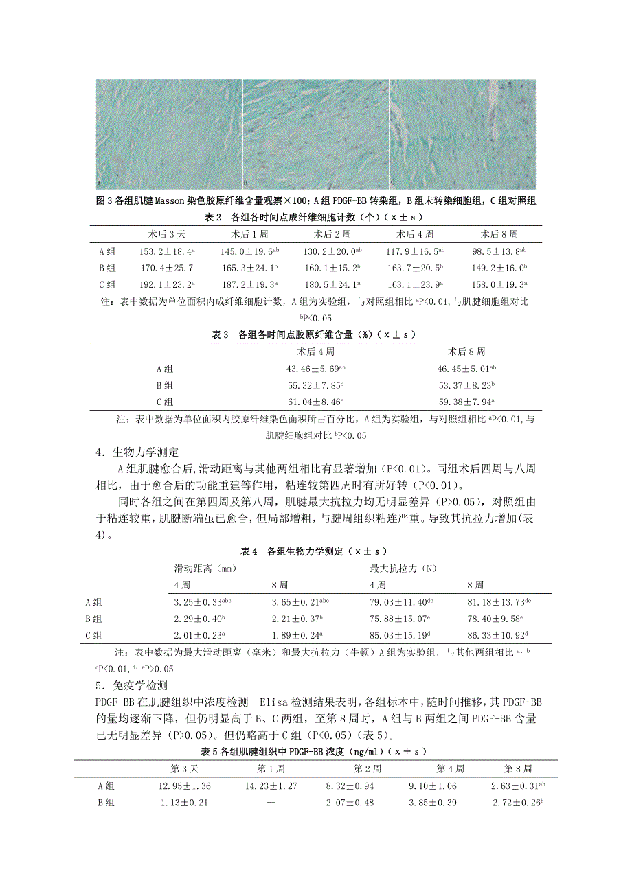 血小板源性生长因子BB表达对促进大鼠肌腱愈合和防止肌腱粘连的作用.doc_第4页