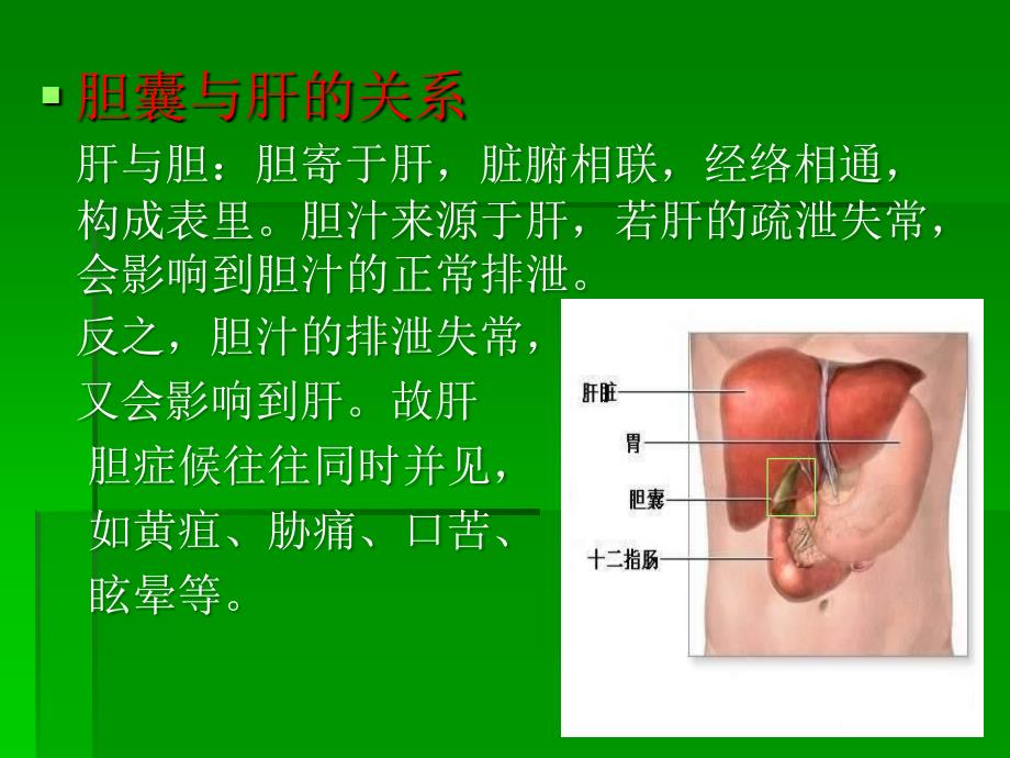 胆石通利胶囊新PPT课件_第4页