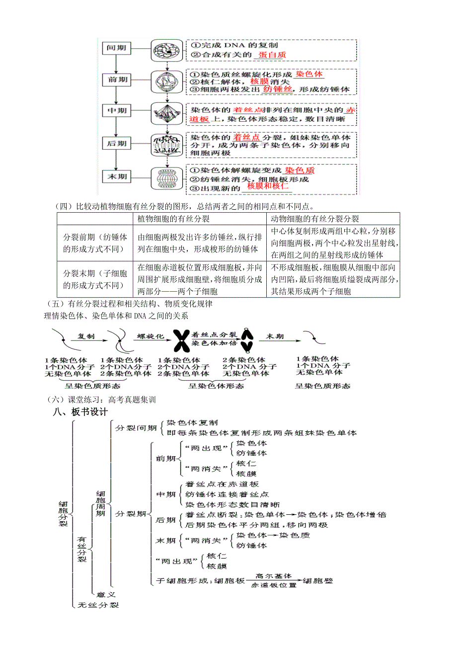 有丝分裂复习教案_第2页