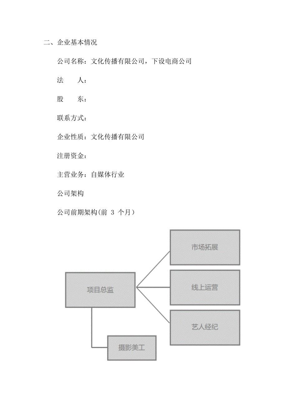 自媒体创业计划书.docx_第5页